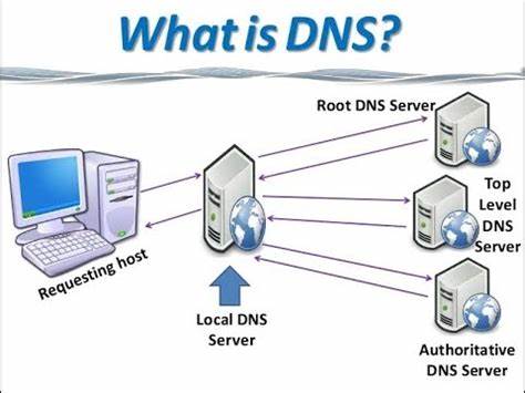 آموزش های مدرن هاست - تنظیمات DNS برای دومین شما