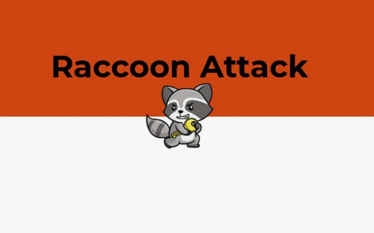 اخبار مدرن هاست - احتمالا حمله‌ی Raccoon به هکرها اجازه شکستن رمزنگاری TLS را می‌دهد